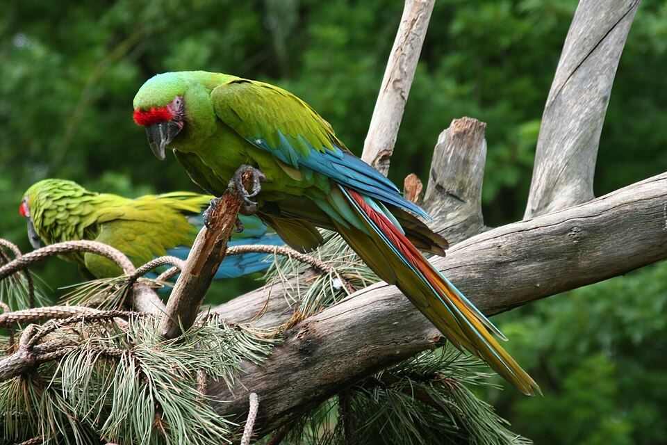 La Selva & Sarapiqui