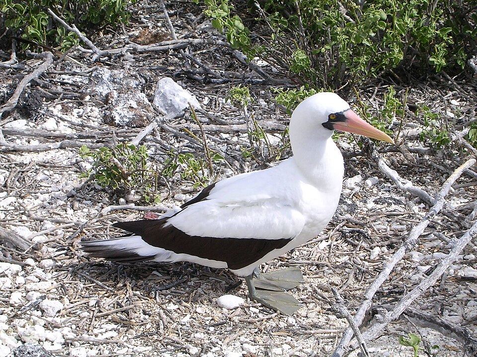 Cocos Island National Park